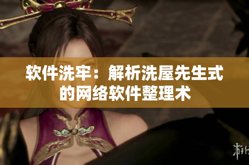 軟件洗牢：解析洗屋先生式的網(wǎng)絡(luò)軟件整理術(shù)
