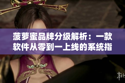 菠蘿蜜品牌分級解析：一款軟件從零到一上線的系統(tǒng)指南