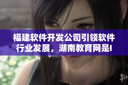 福建軟件開發(fā)公司引領(lǐng)軟件行業(yè)發(fā)展，湖南教育網(wǎng)是IT人才培養(yǎng)的重要導航