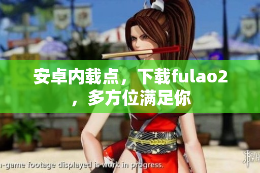 安卓內(nèi)載點，下載fulao2，多方位滿足你