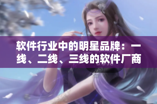 軟件行業(yè)中的明星品牌：一線、二線、三線的軟件廠商排名