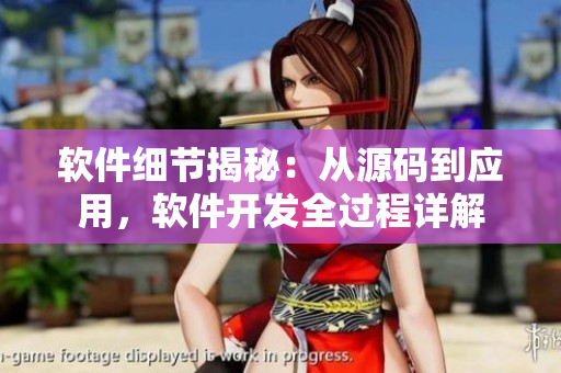 軟件細節(jié)揭秘：從源碼到應用，軟件開發(fā)全過程詳解