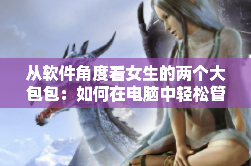 從軟件角度看女生的兩個(gè)大包包：如何在電腦中輕松管理和整理？