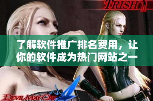 了解軟件推廣排名費(fèi)用，讓你的軟件成為熱門網(wǎng)站之一！