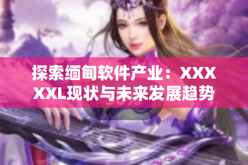 探索緬甸軟件產(chǎn)業(yè)：XXXXXL現(xiàn)狀與未來發(fā)展趨勢