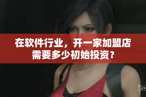 在軟件行業(yè)，開一家加盟店需要多少初始投資？