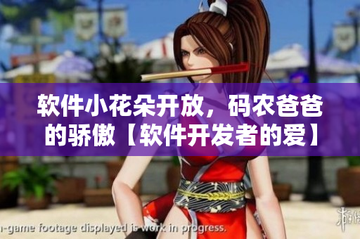 軟件小花朵開放，碼農(nóng)爸爸的驕傲【軟件開發(fā)者的愛】