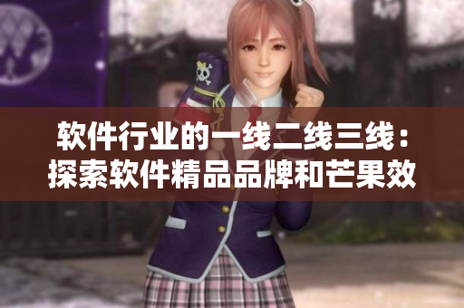 軟件行業(yè)的一線二線三線：探索軟件精品品牌和芒果效應