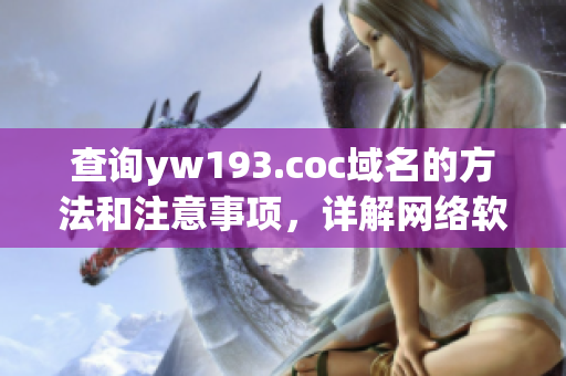 查詢yw193.coc域名的方法和注意事項(xiàng)，詳解網(wǎng)絡(luò)軟件域名查詢