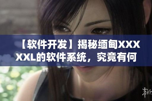 【軟件開發(fā)】揭秘緬甸XXXXXL的軟件系統(tǒng)，究竟有何獨特之處？