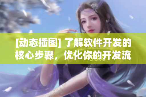 [動(dòng)態(tài)插圖] 了解軟件開發(fā)的核心步驟，優(yōu)化你的開發(fā)流程