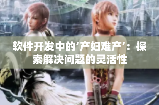 軟件開發(fā)中的‘產婦難產’：探索解決問題的靈活性