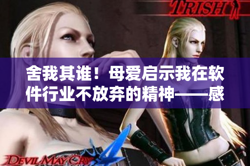 舍我其誰(shuí)！母愛啟示我在軟件行業(yè)不放棄的精神——感悟分享