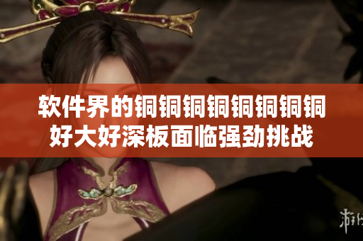 軟件界的銅銅銅銅銅銅銅銅好大好深板面臨強勁挑戰(zhàn)