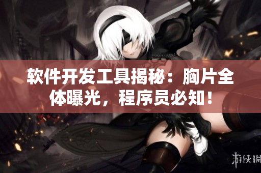 軟件開發(fā)工具揭秘：胸片全體曝光，程序員必知！