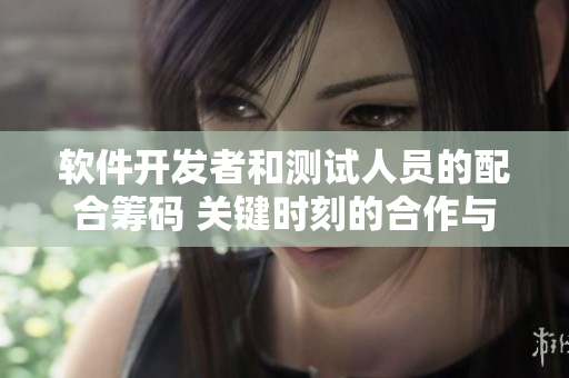 軟件開發(fā)者和測(cè)試人員的配合籌碼 關(guān)鍵時(shí)刻的合作與挑戰(zhàn)