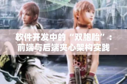 軟件開發(fā)中的“雙胞胎”：前端與后端夾心架構實踐