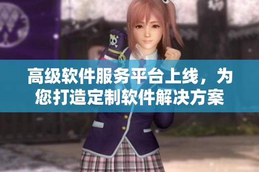 高級(jí)軟件服務(wù)平臺(tái)上線，為您打造定制軟件解決方案