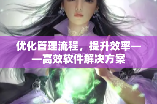 優(yōu)化管理流程，提升效率——高效軟件解決方案