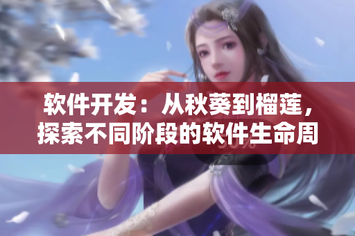 軟件開發(fā)：從秋葵到榴蓮，探索不同階段的軟件生命周期