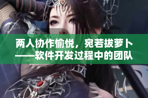 兩人協(xié)作愉悅，宛若拔蘿卜——軟件開發(fā)過程中的團(tuán)隊(duì)合作技巧