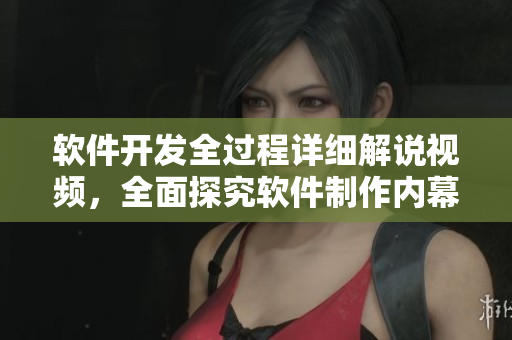 軟件開(kāi)發(fā)全過(guò)程詳細(xì)解說(shuō)視頻，全面探究軟件制作內(nèi)幕