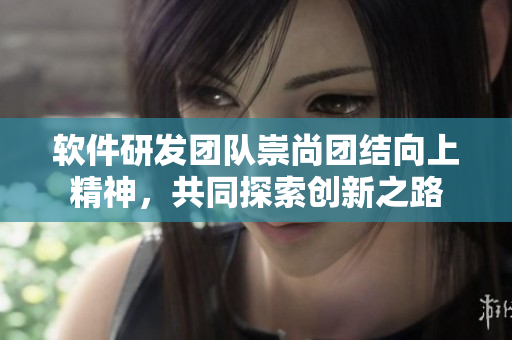 軟件研發(fā)團(tuán)隊(duì)崇尚團(tuán)結(jié)向上精神，共同探索創(chuàng)新之路