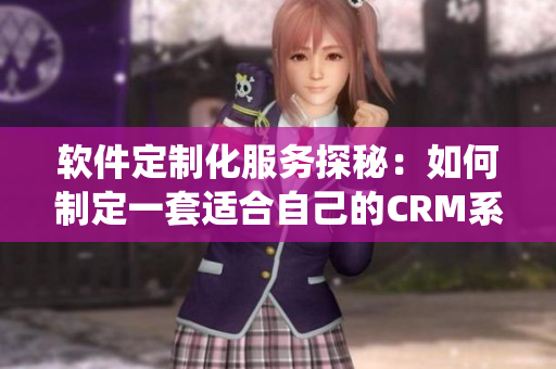 軟件定制化服務(wù)探秘：如何制定一套適合自己的CRM系統(tǒng)？