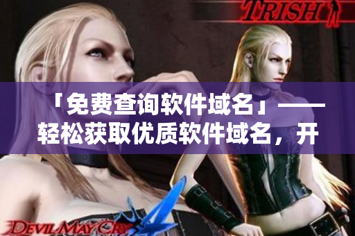 「免費(fèi)查詢軟件域名」——輕松獲取優(yōu)質(zhì)軟件域名，開(kāi)創(chuàng)新篇章！