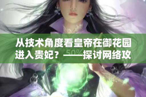 從技術(shù)角度看皇帝在御花園進入貴妃？——探討網(wǎng)絡(luò)攻擊與防護策略