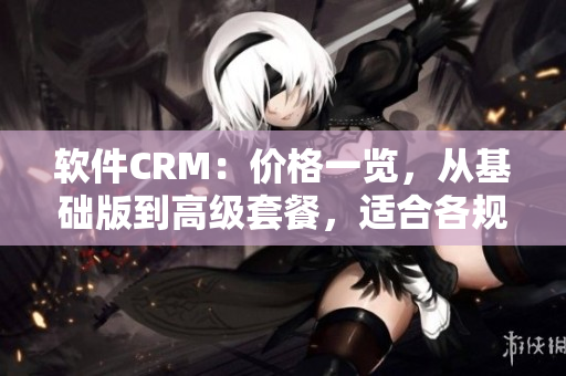 軟件CRM：價格一覽，從基礎(chǔ)版到高級套餐，適合各規(guī)模企業(yè)