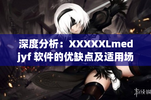 深度分析：XXXXXLmedjyf 軟件的優(yōu)缺點(diǎn)及適用場(chǎng)景