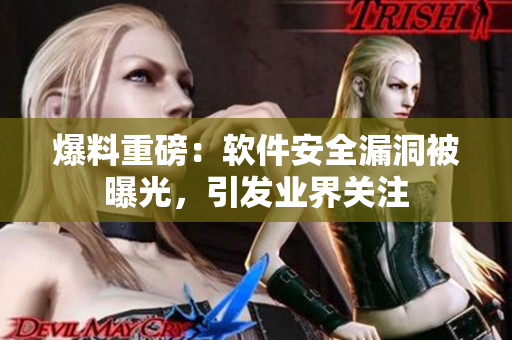 爆料重磅：軟件安全漏洞被曝光，引發(fā)業(yè)界關(guān)注