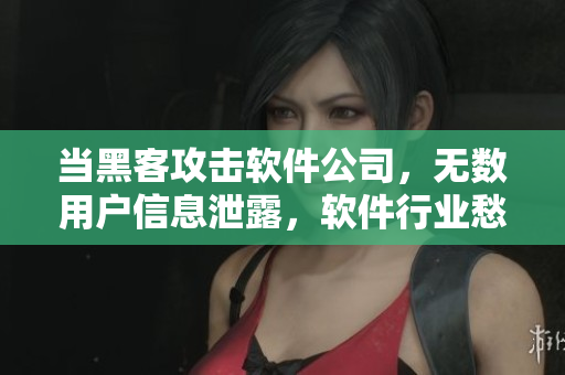 當(dāng)黑客攻擊軟件公司，無(wú)數(shù)用戶信息泄露，軟件行業(yè)愁眉不展