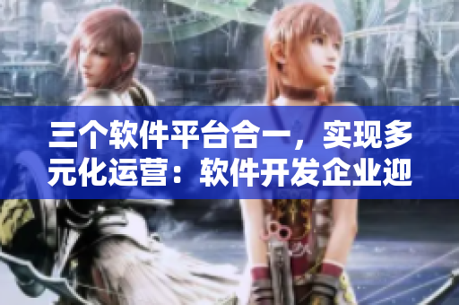 三個軟件平臺合一，實(shí)現(xiàn)多元化運(yùn)營：軟件開發(fā)企業(yè)迎來大團(tuán)圓