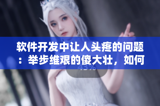 軟件開發(fā)中讓人頭疼的問題：舉步維艱的傻大壯，如何解決？