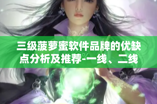 三級(jí)菠蘿蜜軟件品牌的優(yōu)缺點(diǎn)分析及推薦-一線、二線、三線軟件品牌對(duì)比