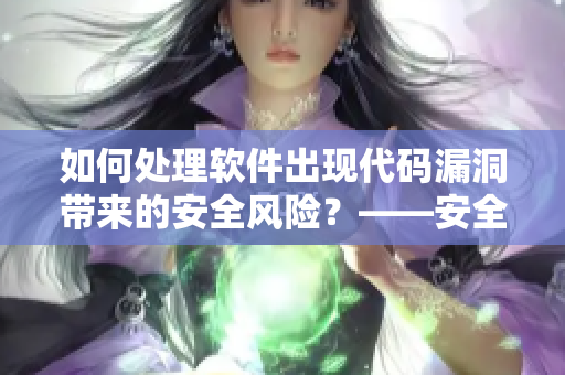 如何處理軟件出現(xiàn)代碼漏洞帶來的安全風(fēng)險？——安全加固與修復(fù)策略