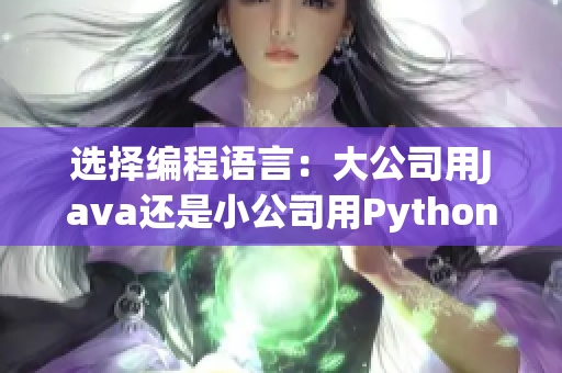 選擇編程語(yǔ)言：大公司用Java還是小公司用Python？
