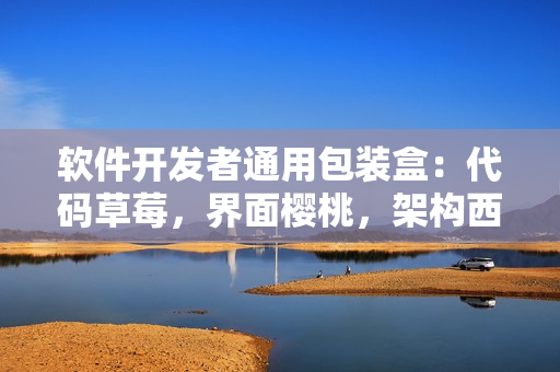 軟件開發(fā)者通用包裝盒：代碼草莓，界面櫻桃，架構(gòu)西瓜，用戶體驗(yàn)榴蓮