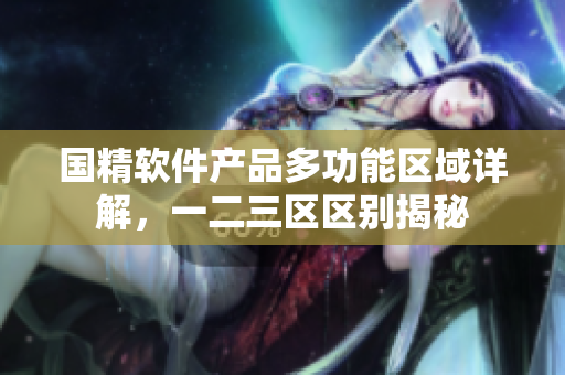 國精軟件產品多功能區(qū)域詳解，一二三區(qū)區(qū)別揭秘