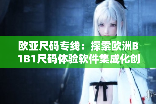 歐亞尺碼專線：探索歐洲B1B1尺碼體驗軟件集成化創(chuàng)新