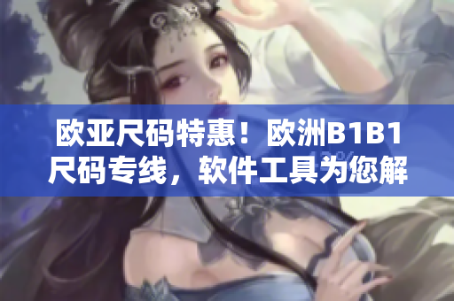 歐亞尺碼特惠！歐洲B1B1尺碼專線，軟件工具為您解決尺碼難題