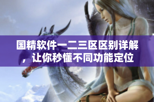 國精軟件一二三區(qū)區(qū)別詳解，讓你秒懂不同功能定位
