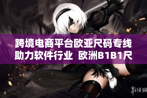 跨境電商平臺(tái)歐亞尺碼專線助力軟件行業(yè)  歐洲B1B1尺碼解析