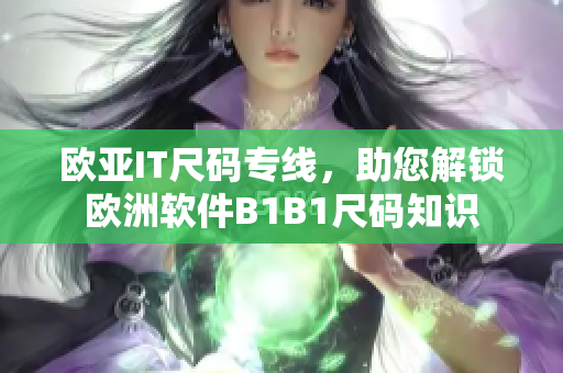 歐亞IT尺碼專線，助您解鎖歐洲軟件B1B1尺碼知識