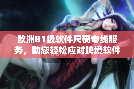 歐洲B1級(jí)軟件尺碼專線服務(wù)，助您輕松應(yīng)對(duì)跨境軟件開發(fā)難題