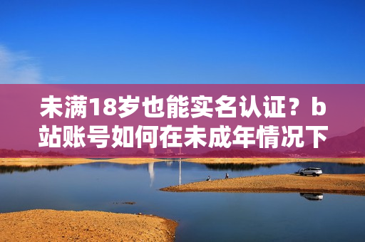 未滿18歲也能實(shí)名認(rèn)證？b站賬號(hào)如何在未成年情況下進(jìn)行年齡驗(yàn)證？