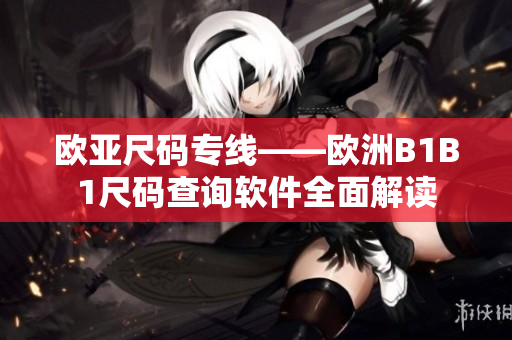 歐亞尺碼專線——歐洲B1B1尺碼查詢軟件全面解讀