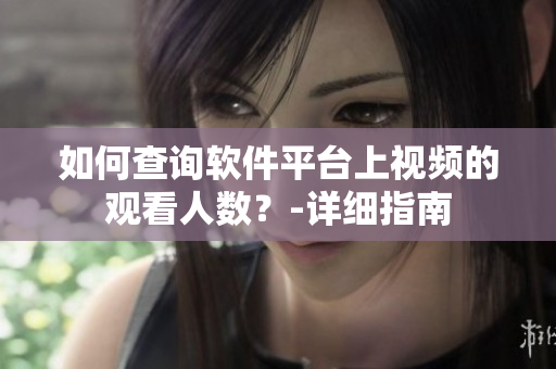 如何查詢軟件平臺上視頻的觀看人數(shù)？-詳細(xì)指南
